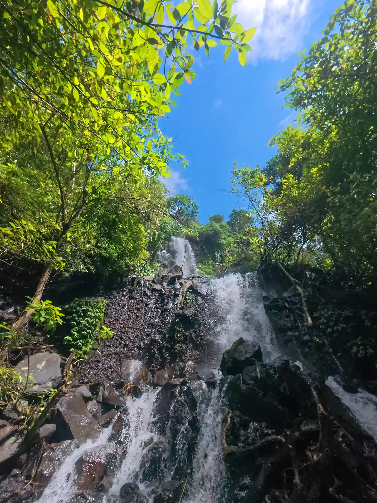 Looking up at a tall waterfall and canyon walls against blue sky