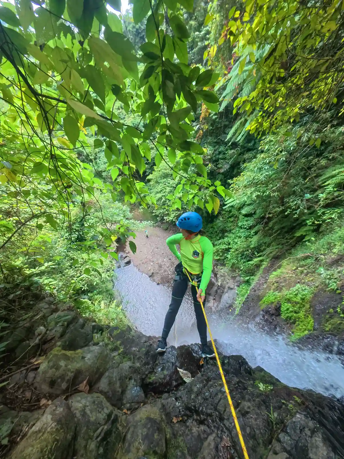 Guest rappelling a jungle waterfall on rope