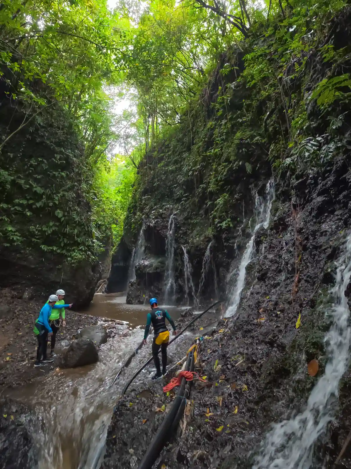 Group walking through the jungle canyon on Splash Canyon