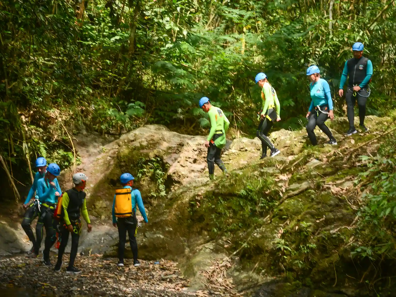 A guided group trekking through the North Bali jungle