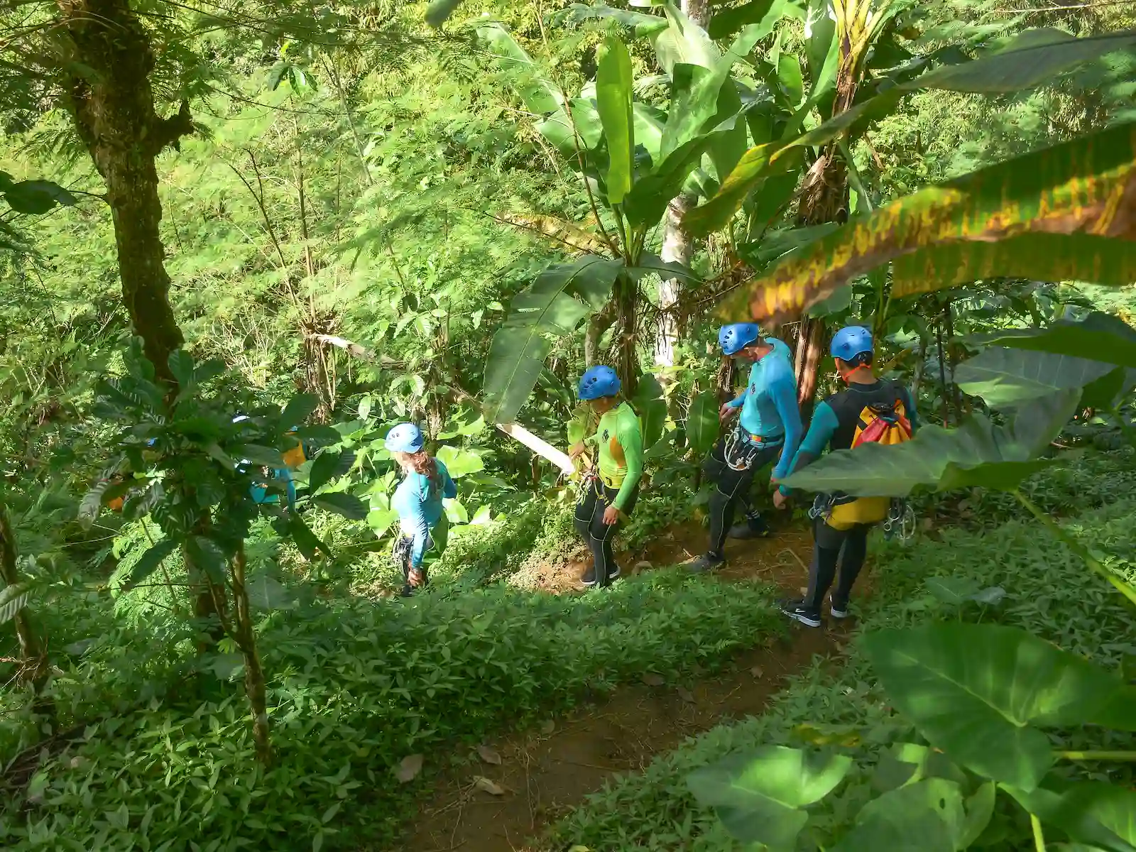 A guided canyoning group walking through the North Bali jungle